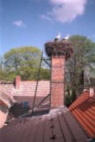Blick auf das Storchennest der Pension
